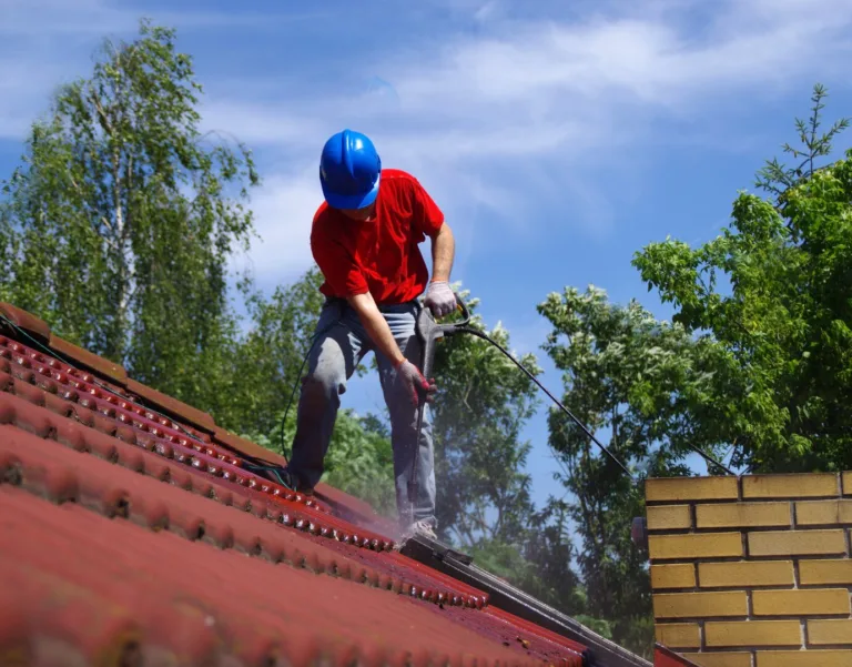 Čištění a údržba střech