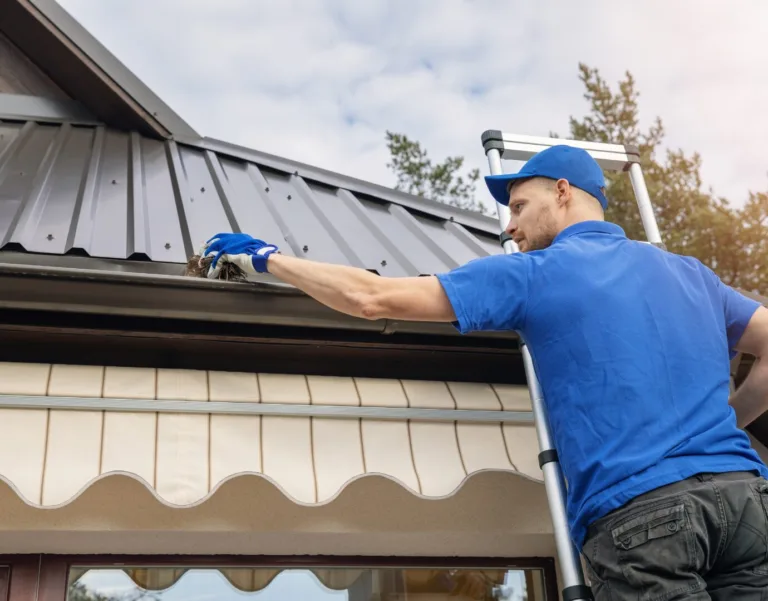 Čištění a údržba střech